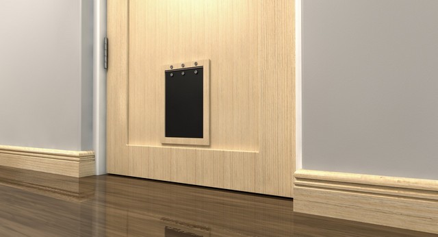 Cat Flap Installation Purley, Kenley, CR8