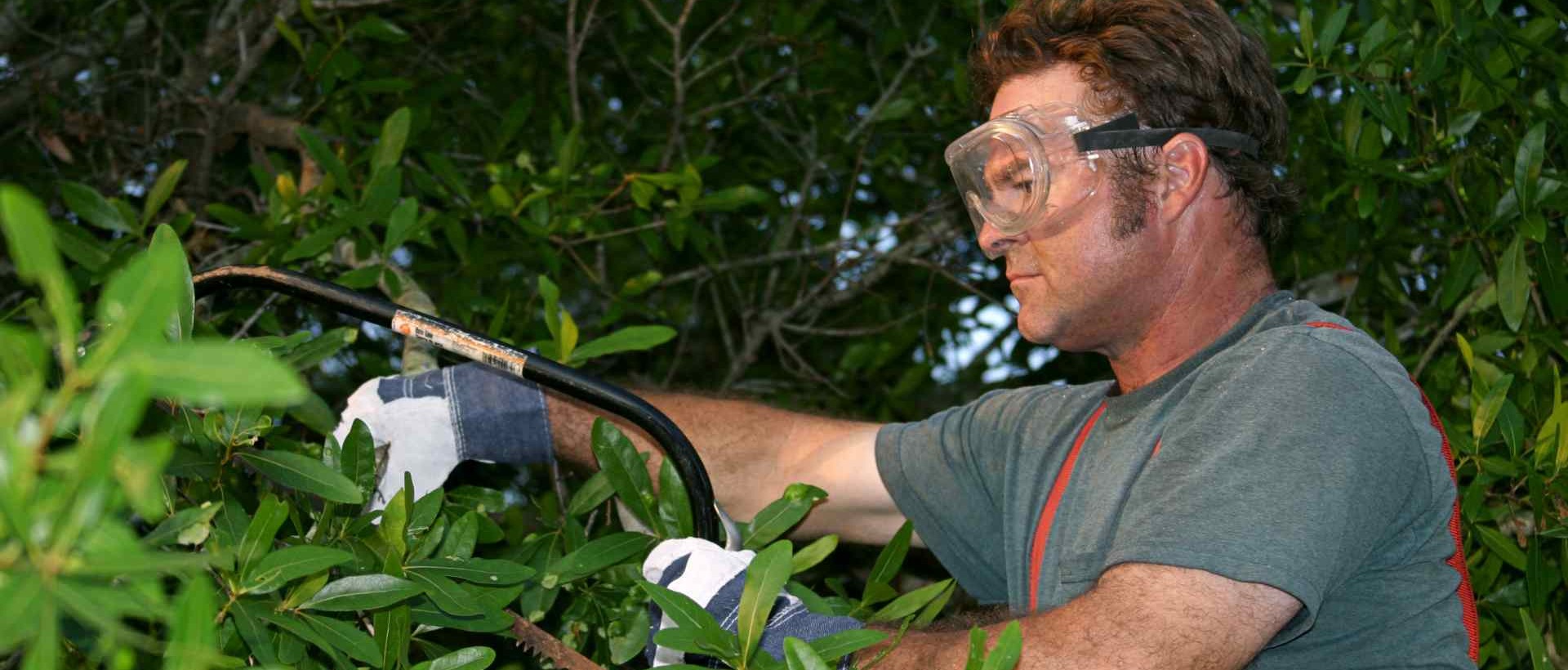 garden clearance CR8