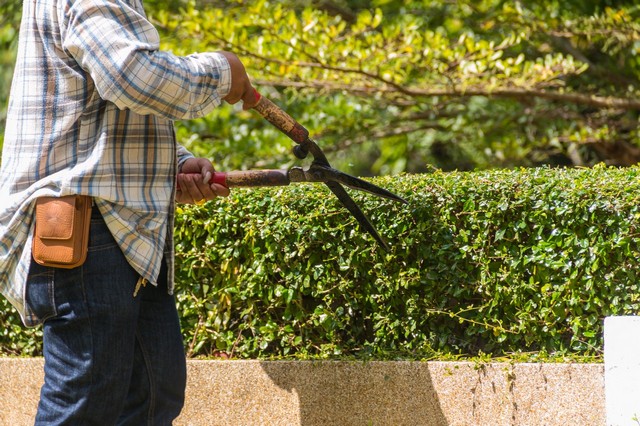 Garden Maintenance Purley, Kenley, CR8