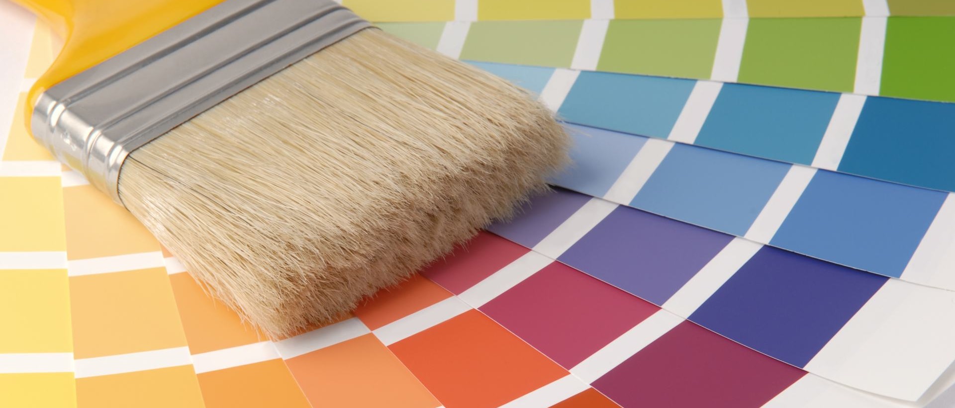 Painter CR8